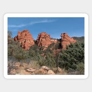 Sedona - Cow Pies trail 64 Sticker